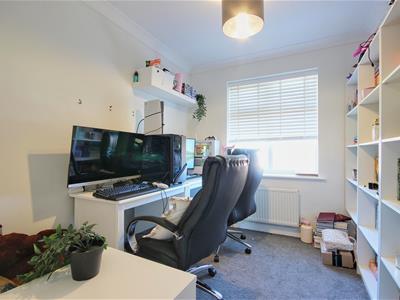 Picture 11